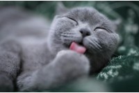 Как подготовиться к анальному сексу девушке !!!