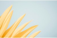 ТОП лучших ультратонких презервативов