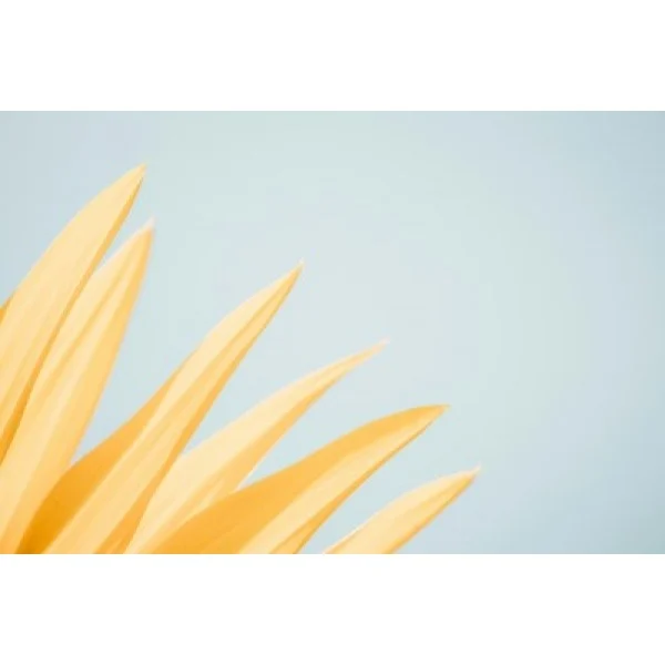 Рейтинг самых тонких презервативов 2026: ТОП-7 моделей для максимальных ощущений ⭐️