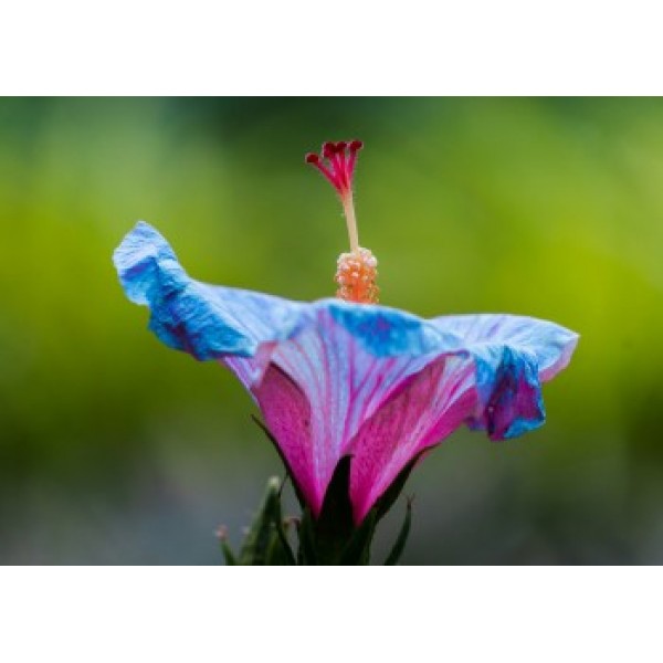 ТОП лучших возбуждающих презервативов