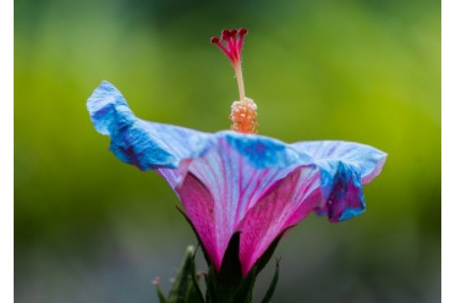 ТОП кращих збуджуючих презервативів