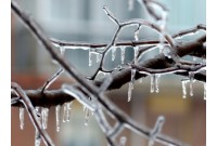 ТОП найкращих лубрикантів для анального сексу